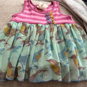 Matilda Jane Dress- BIRDS!